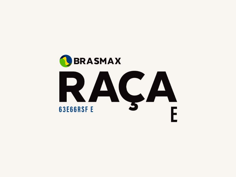 Raça E