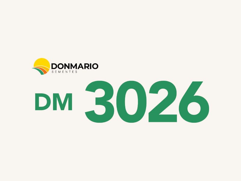 DM 3026
