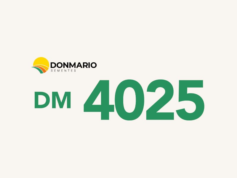 DM 4025