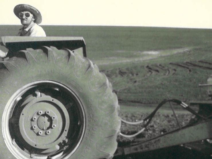 Sementes Butiá em 1964