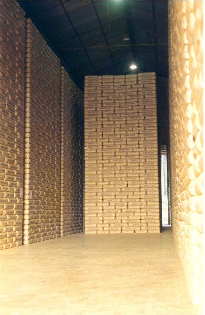 Sementes Butiá em 1976