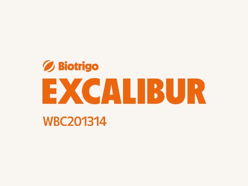 Biotrigo Excalibur